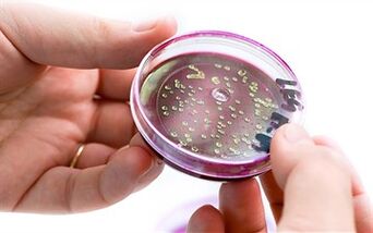 Bacteria in the prostate